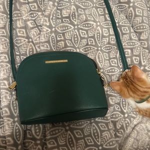Steve Madden bag